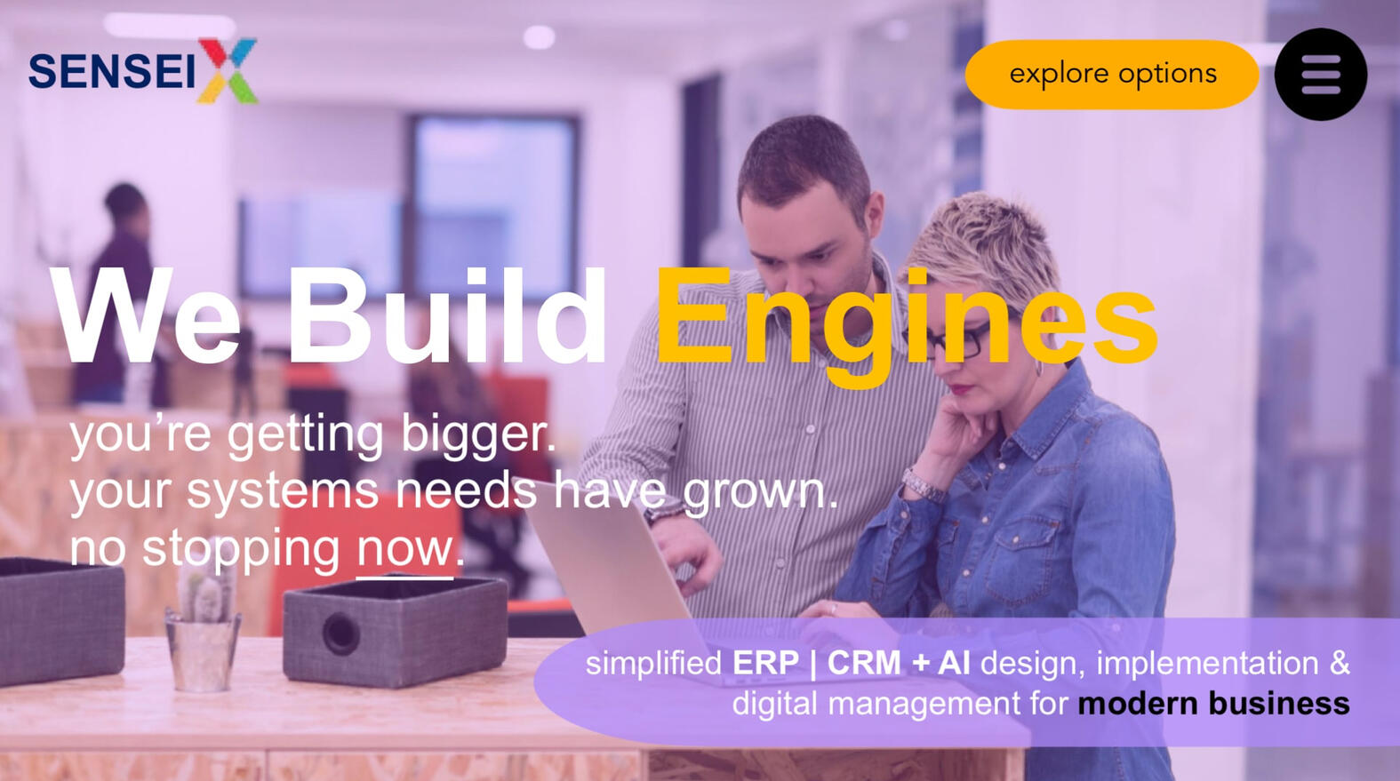 Optimized CRO landing page design sodium ion battery tech care Tesla